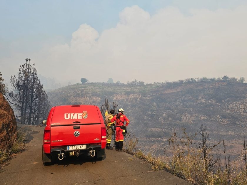 la-palma-waldbrand-feuer-07-2023-ume-840x630.jpg